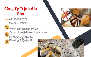 Diệt Mối Tận Gốc