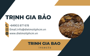 trị mối tận gốc