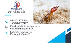 diệt mối bạc liêu