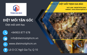 Trừ mối tận gốc 