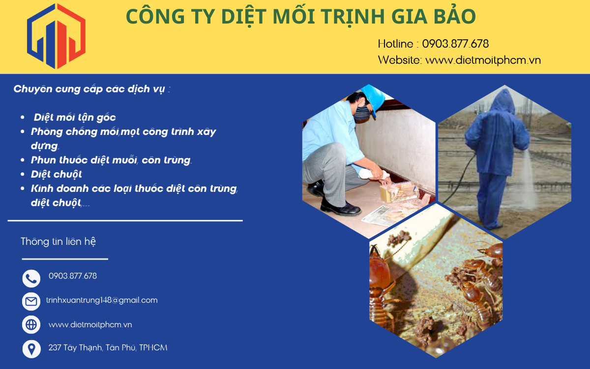 diệt mối tại quận 7