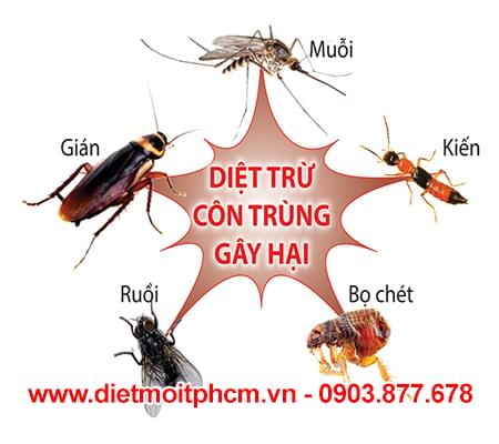 dich-vu-diet-con-trung-tai-nha