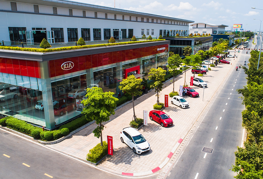 diệt mối tận gốc trịnh gia bảo