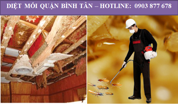 diet-moi-quan-binh-tan