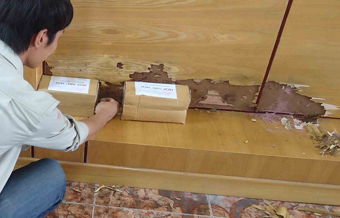 diet moi tai binh chanh