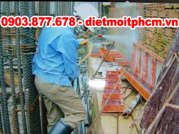 diệt mối tại nha trang