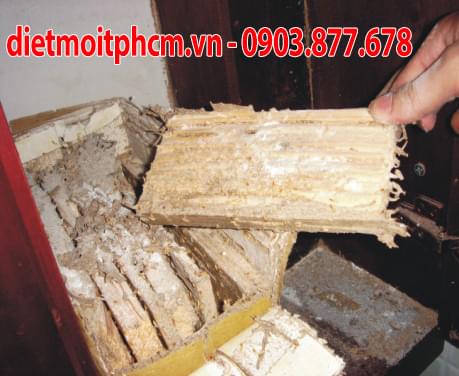 diệt mối tận gốc tại gò vấp