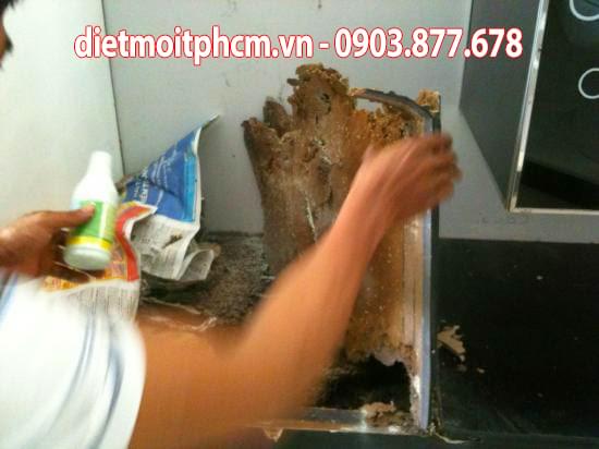 diệt mối tận gốc tại tân phú