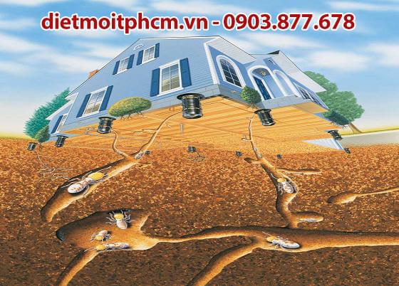 diệt mối tận gốc tại thủ đức