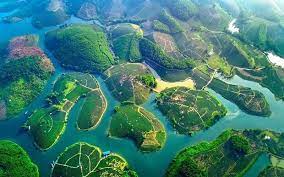 Dịch Vụ Diệt Mối Tại Thanh Chương