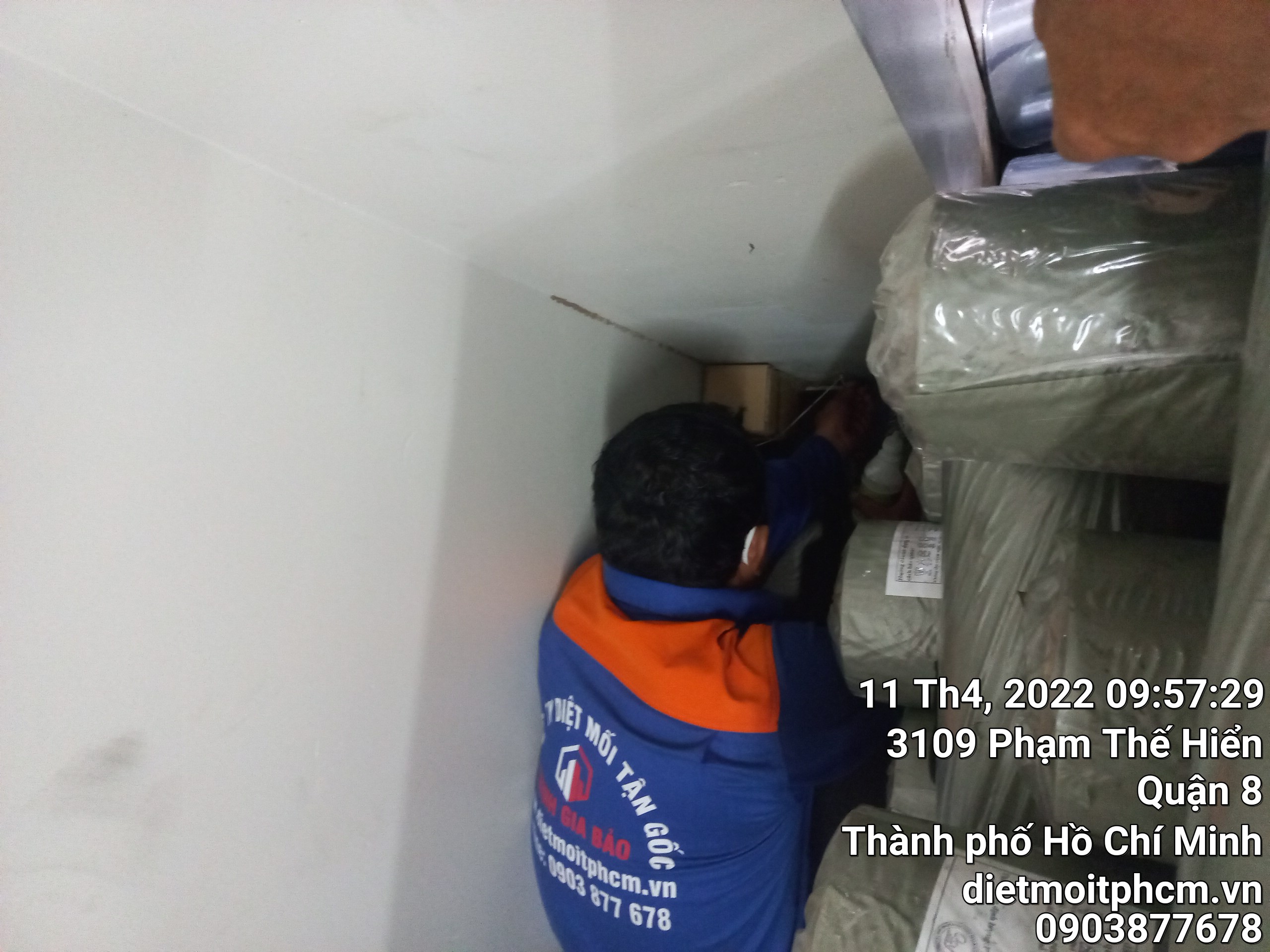 trừ mối tận gốc