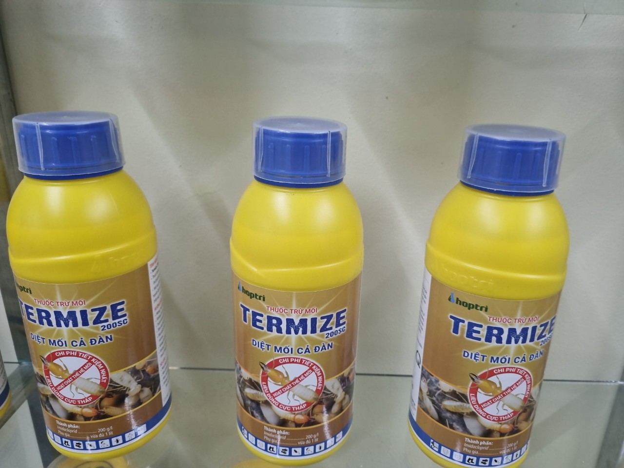 thuốc diệt mối tại quận 7