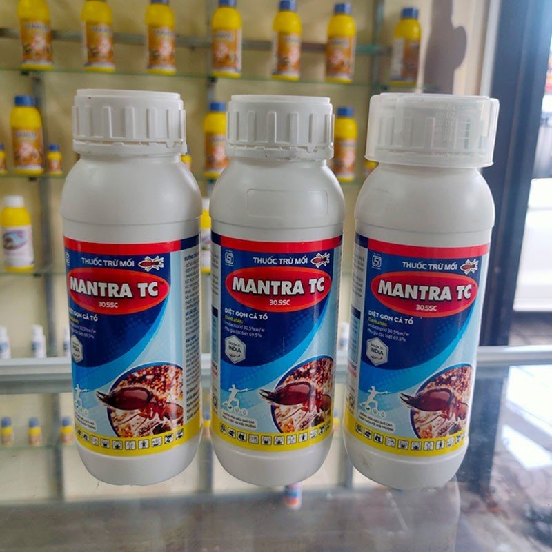 dịch vụ diệt mối