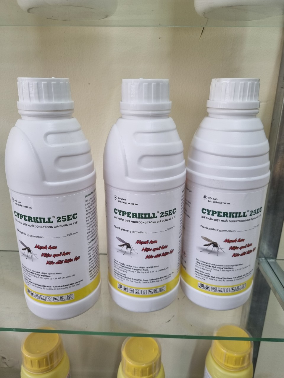 Diệt Mối Tận Gốc Tại Tân An Trịnh Gia Bảo