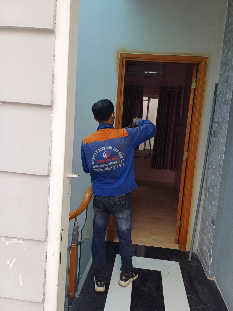 Phòng chống mối