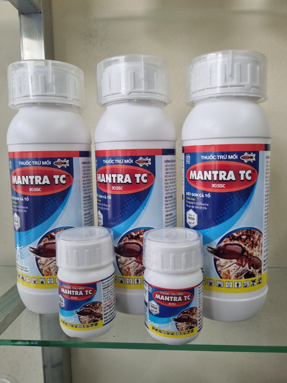 Thuốc phòng chống mối