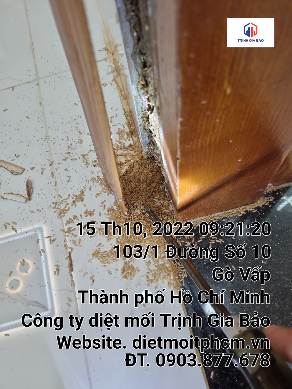 trừ mối