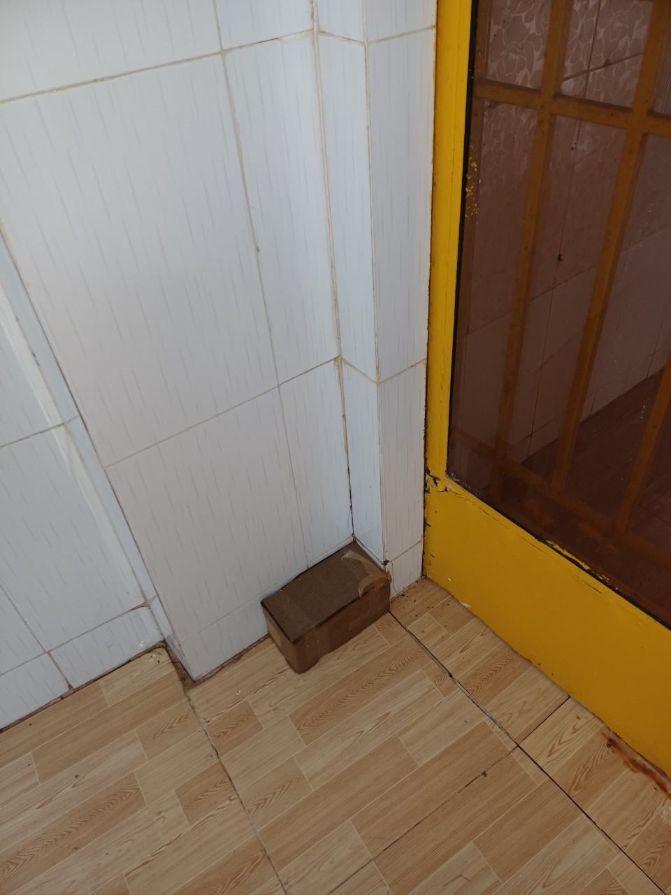 diệt mối tại nhà