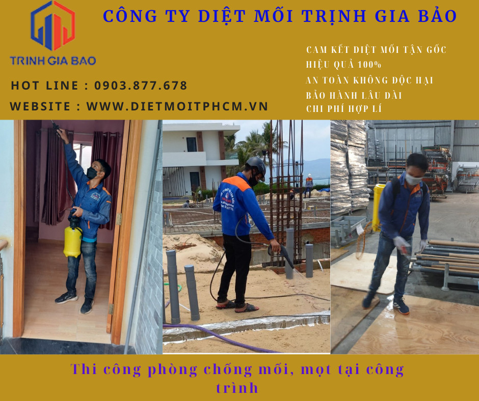 diệt mối uy tín