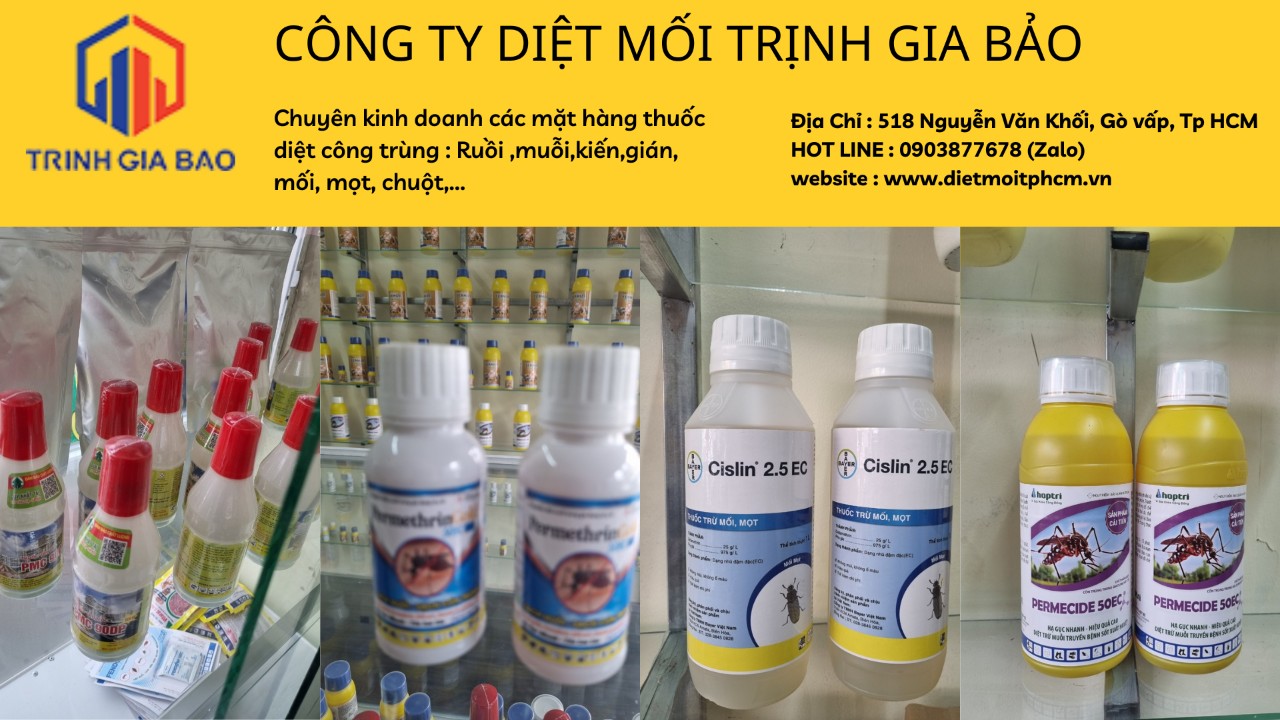 cách trị mối mọt trên gỗ