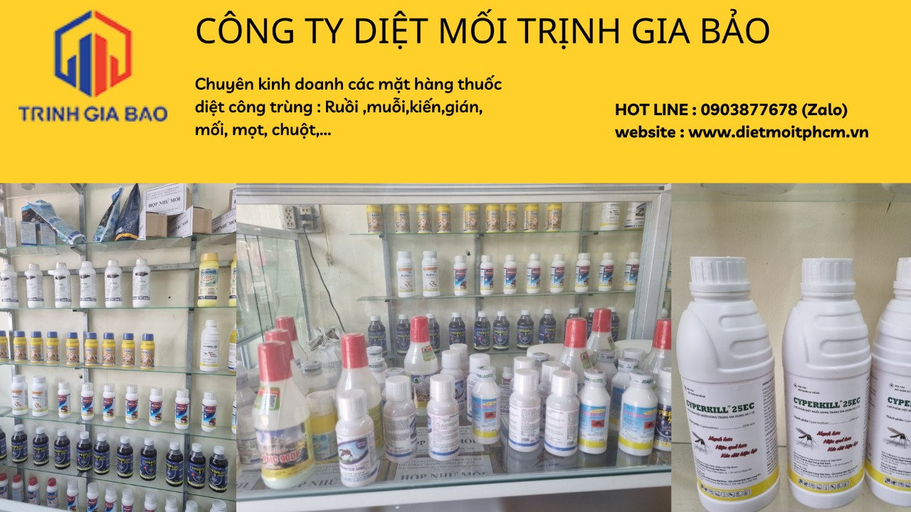 diệt mối tận gốc hcm