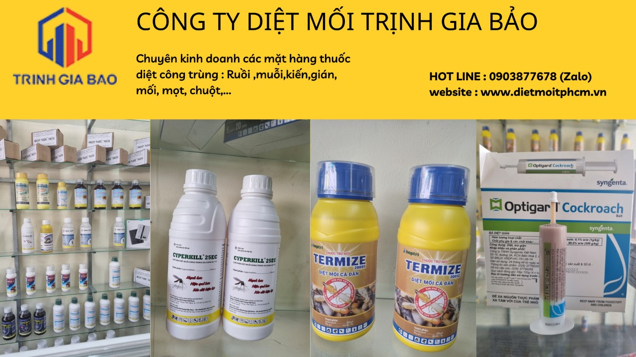 diệt mối tại tiền giang