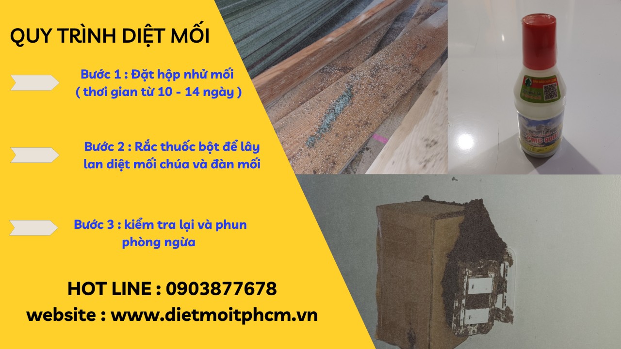 diệt mối tại tiền giang