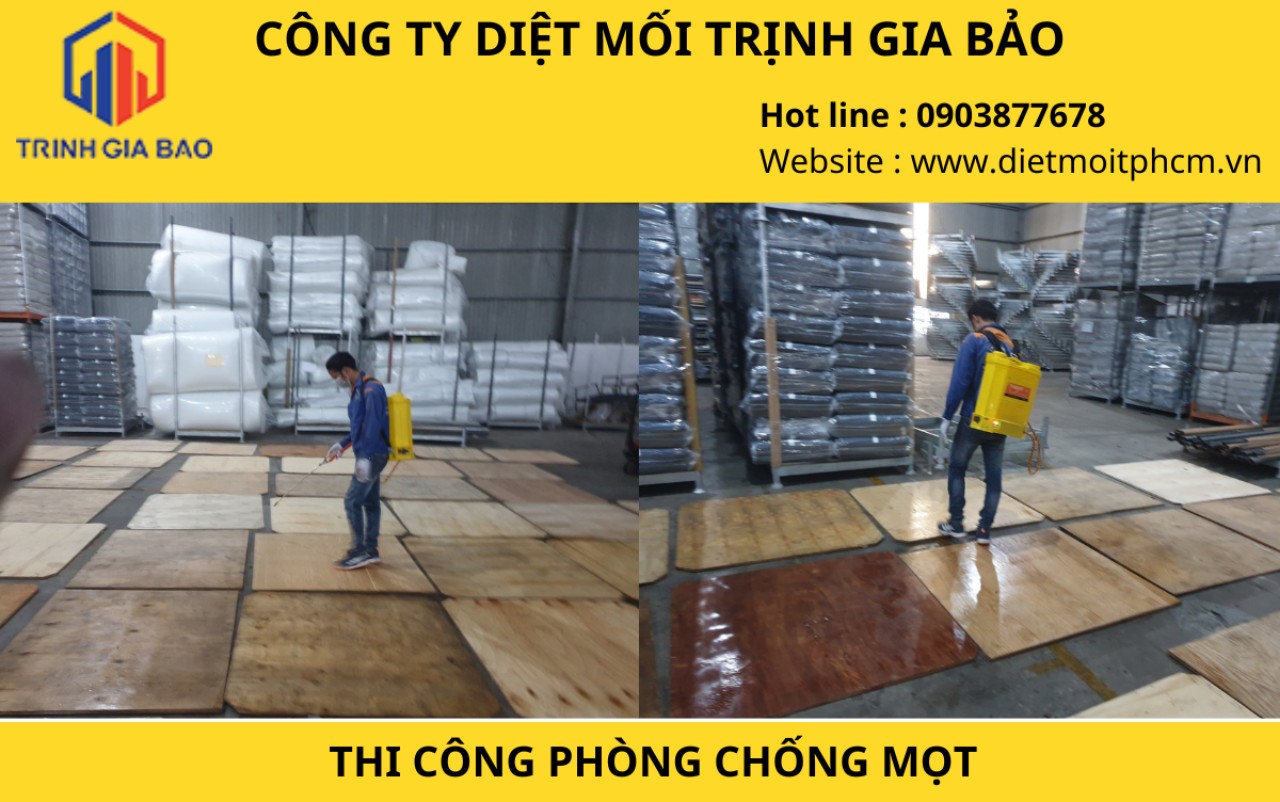 diệt mối tại nhà bè