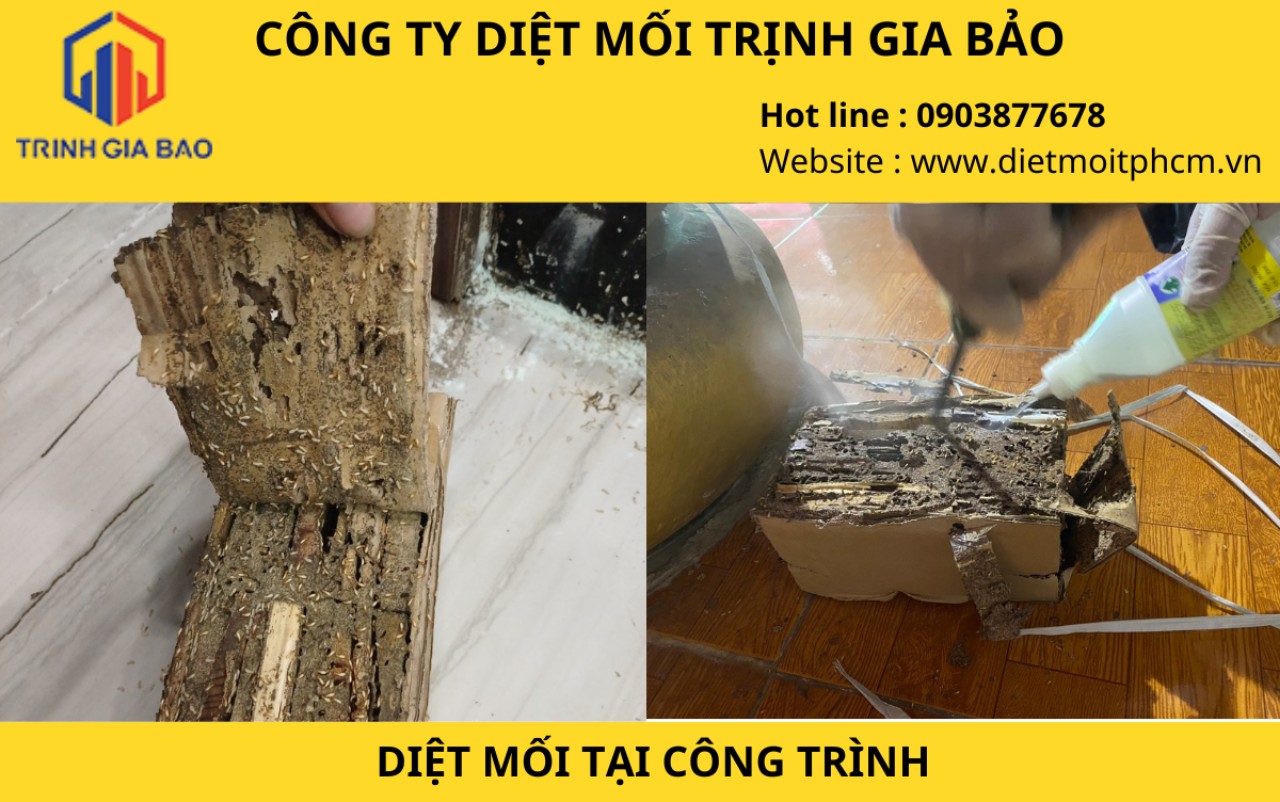 diệt mối nhà bè