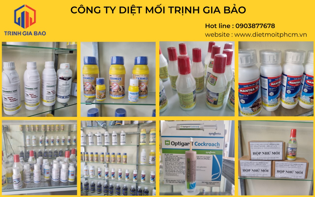 bắt mối tại nhà