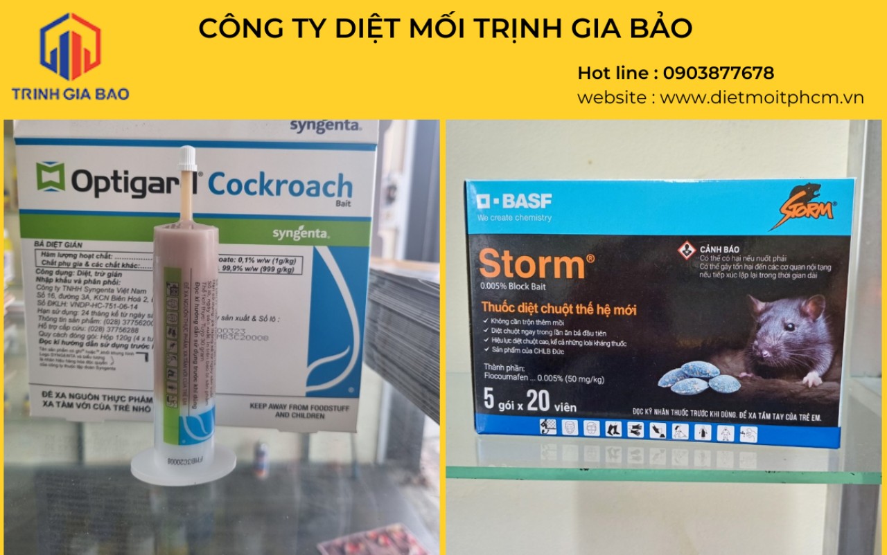 mối làm tổ trong nhà