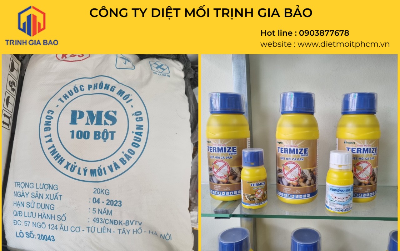 Mối làm tổ trong nhà