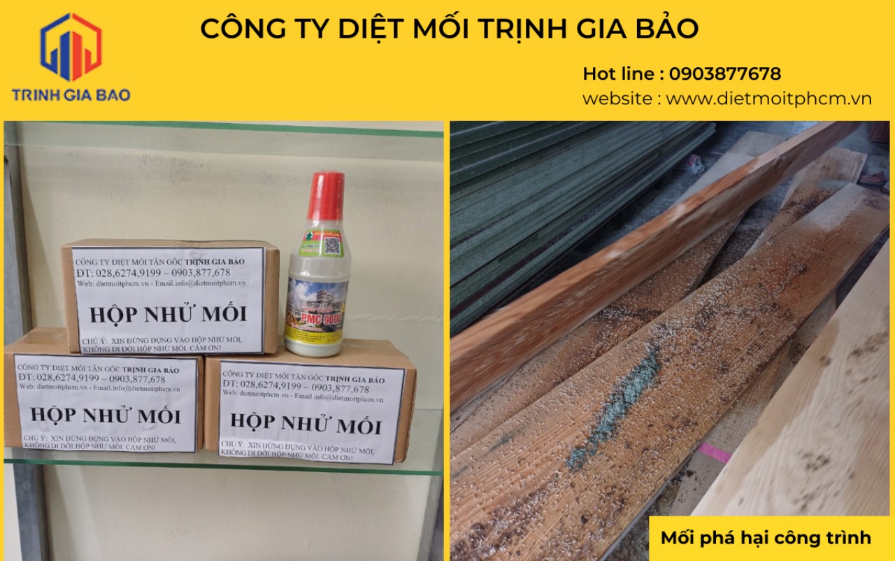 diệt mối tận gốc