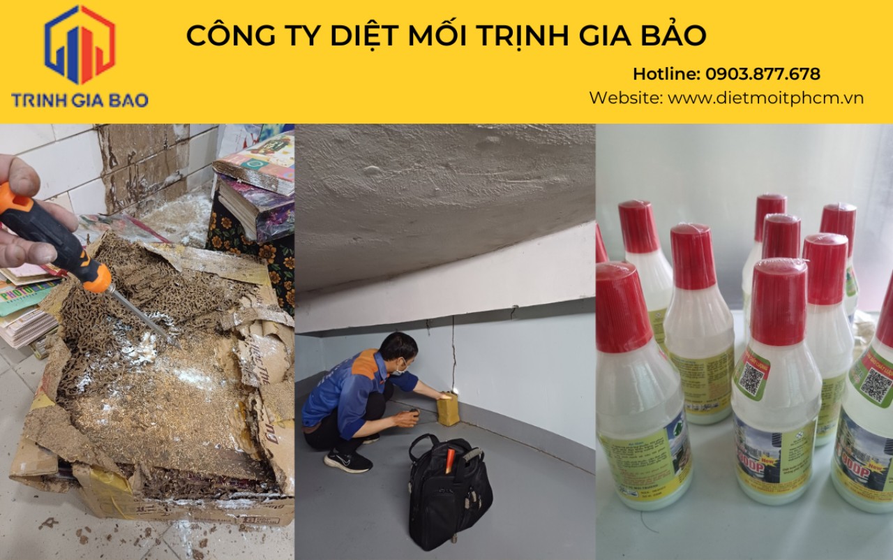 diệt mối tại quận 1