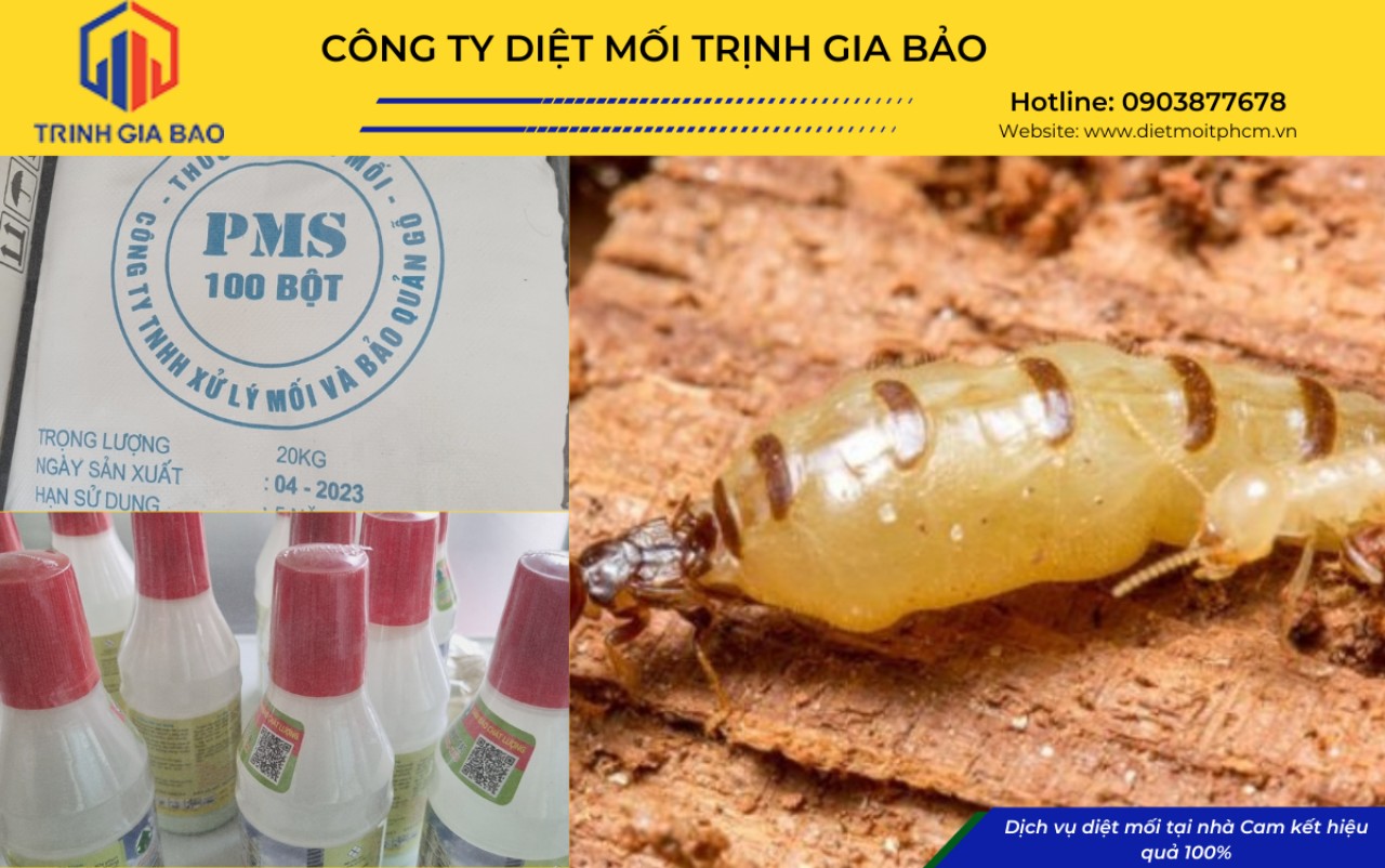 diệt mối tại bình tân