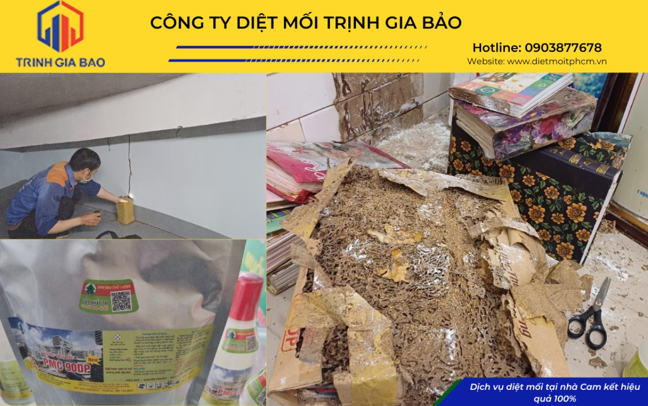 diệt mối tại tiền giang