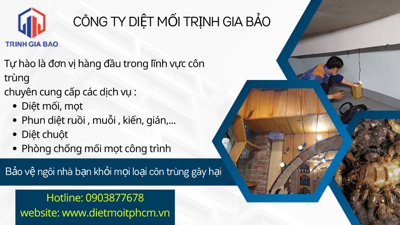 nhà có mối