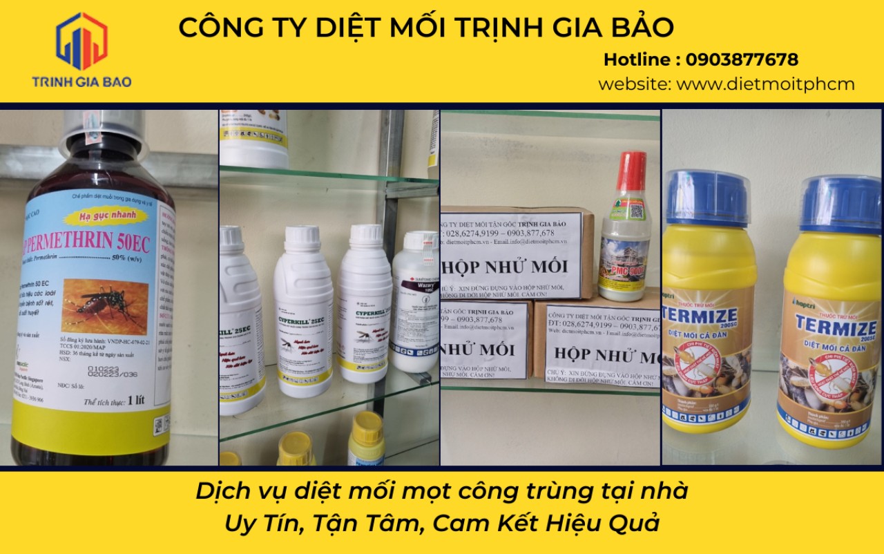 xử lý mối tận gốc