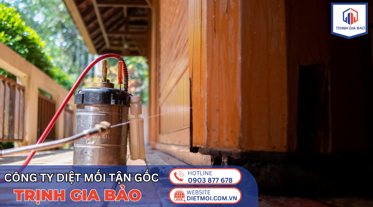 diet moi tan goc gia bao nhieu