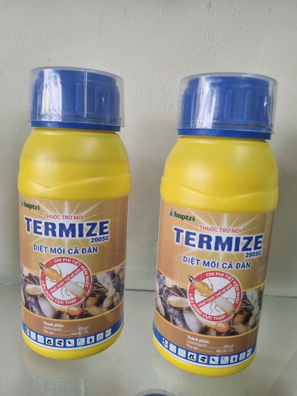thuốc diệt mối tại Quận 6