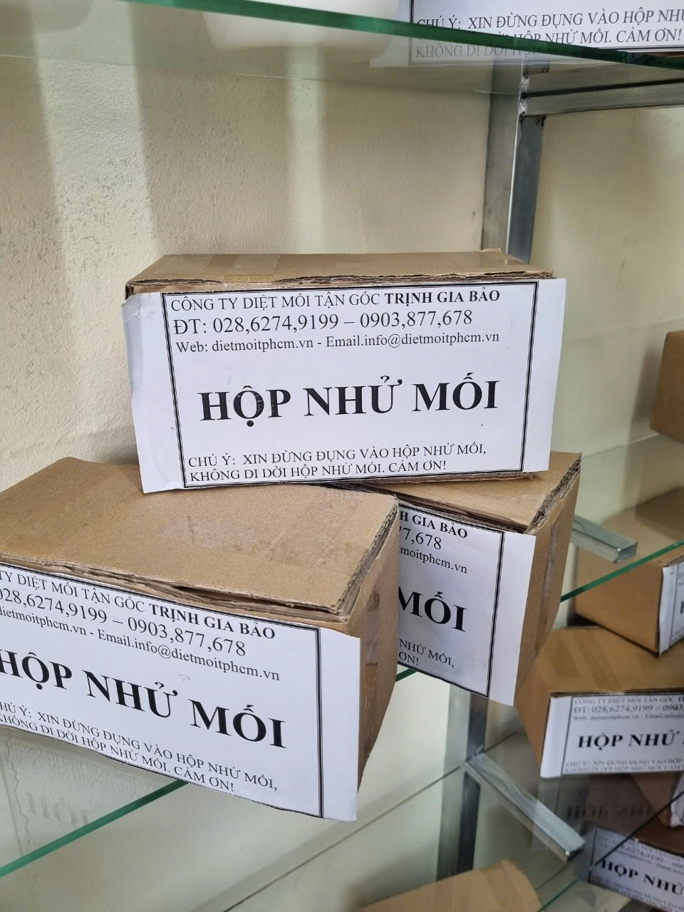 thuốc diệt mối tại Quận 5