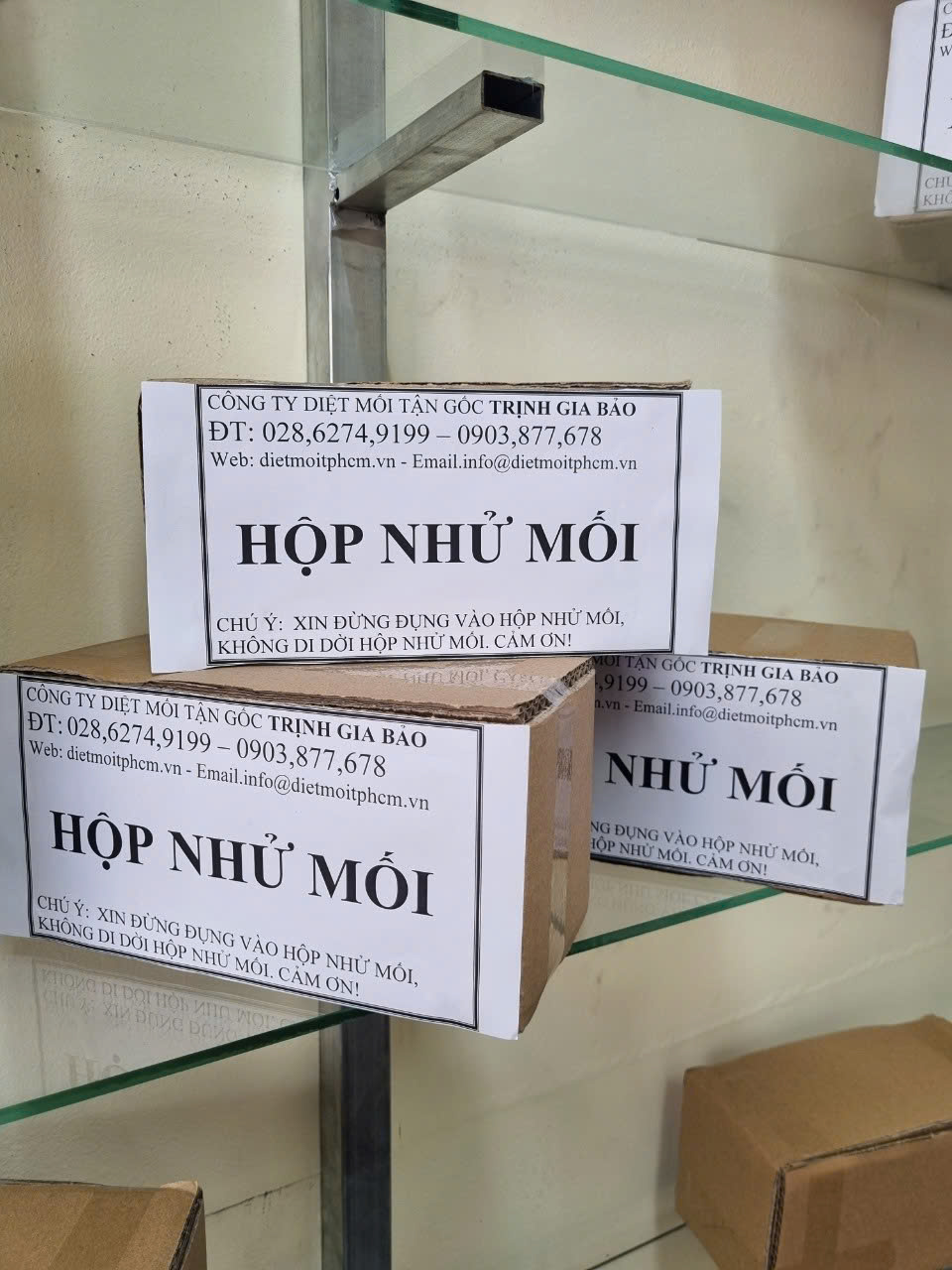 Thuốc diệt mối tại quận 6