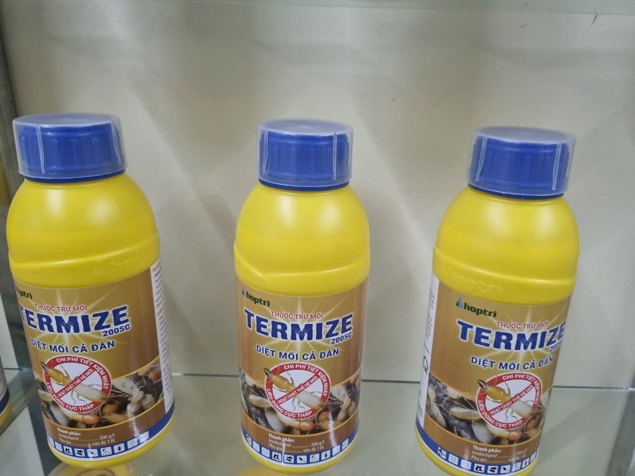 Thuốc diệt mối tại quận 6