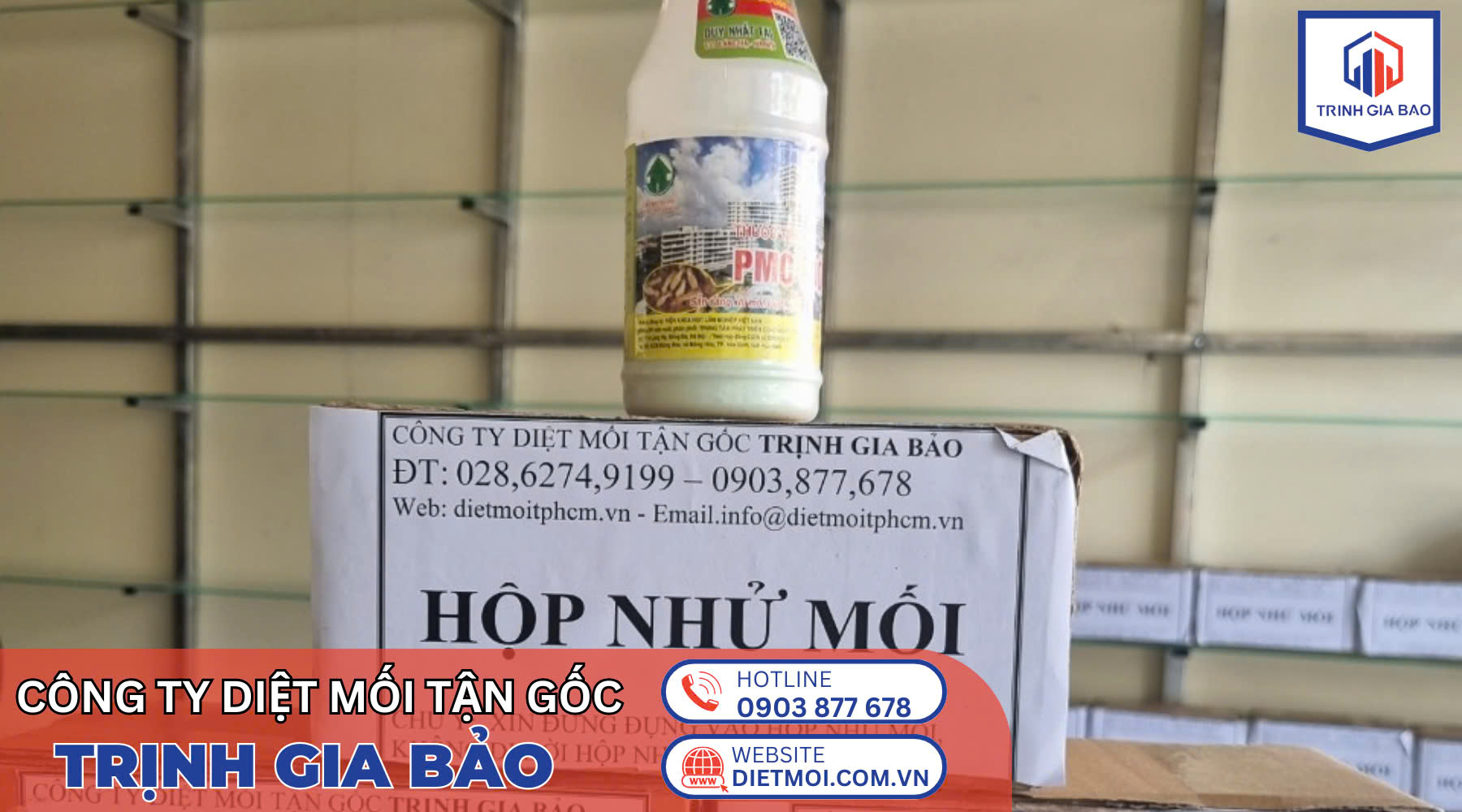 diệt mối quận 7