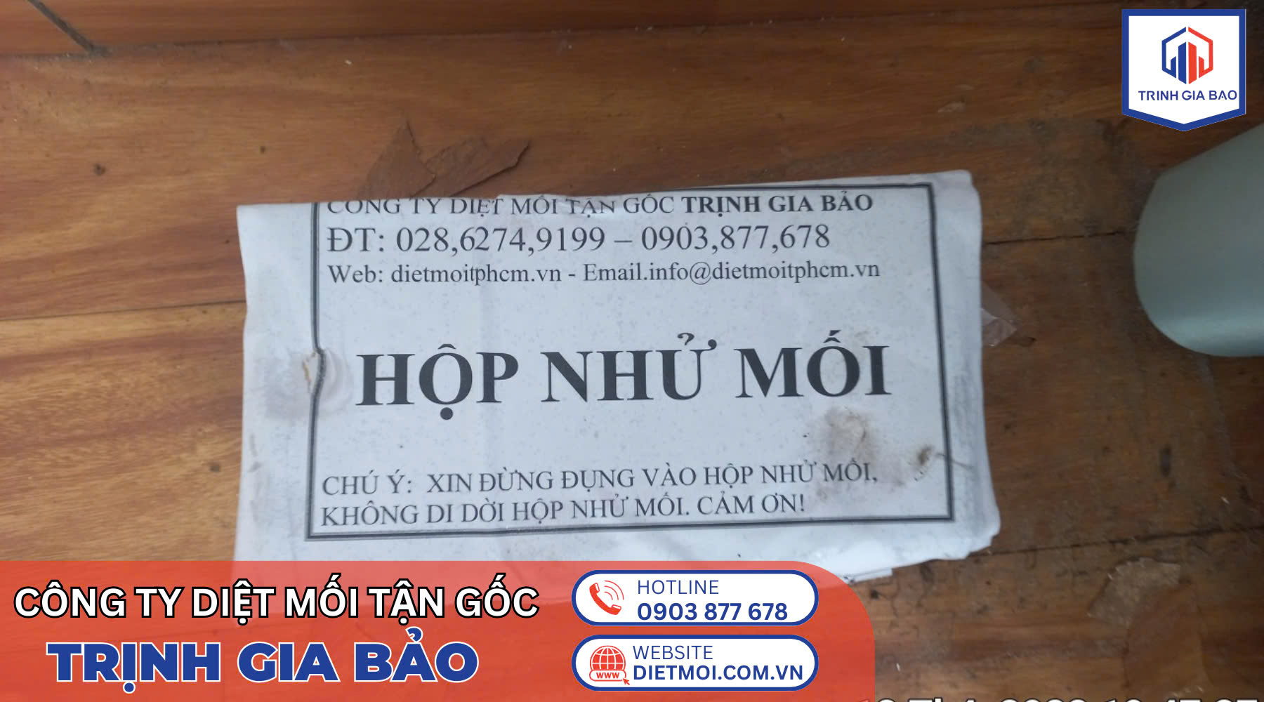 diệt mối quận 7