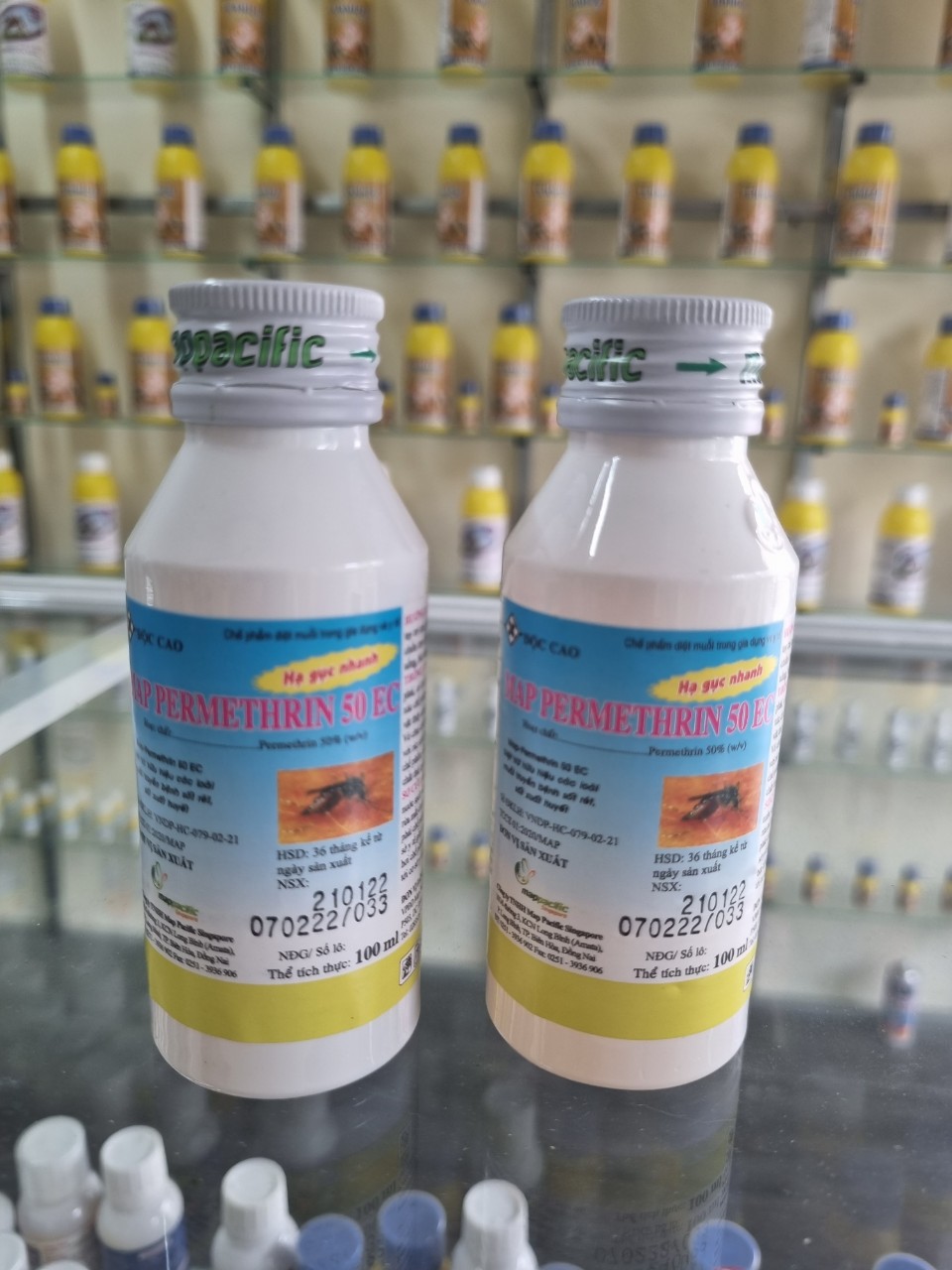 diệt mối tại vinh