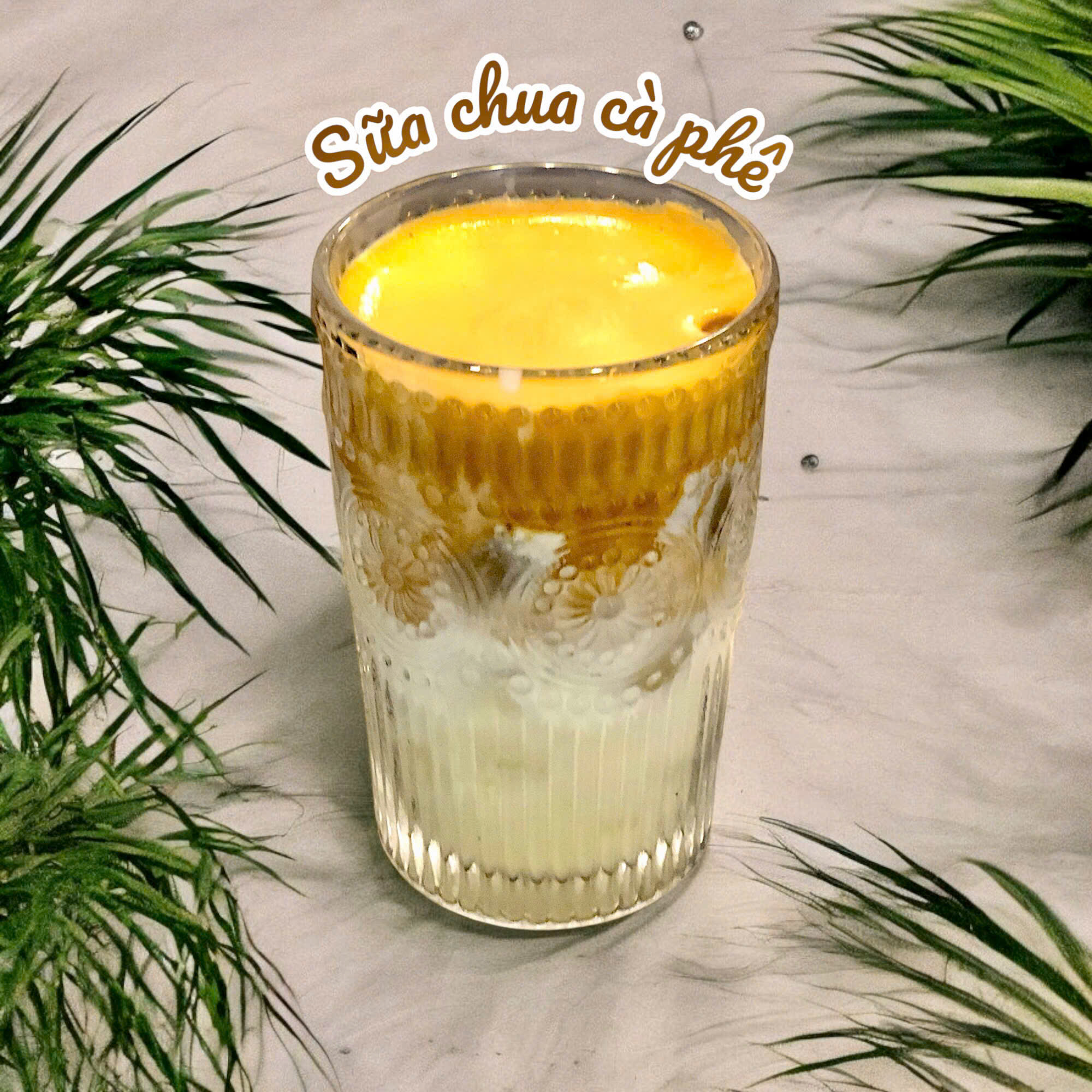 Sữa chua cà phê