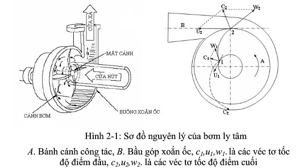 Nguyên lý hoạt động của bơm ly tâm