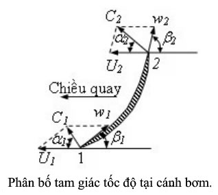 Phân bố tam giác tốc độ tại cánh bơm