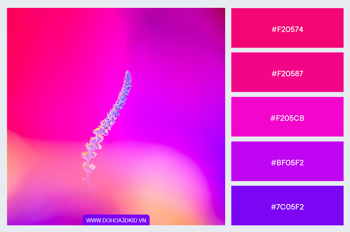 bang_mau_gradient_01